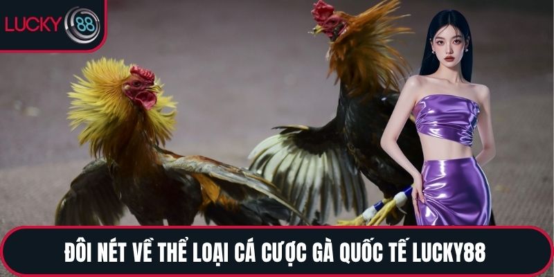 Đôi nét về thể loại cá cược gà quốc tế LUCKY88 