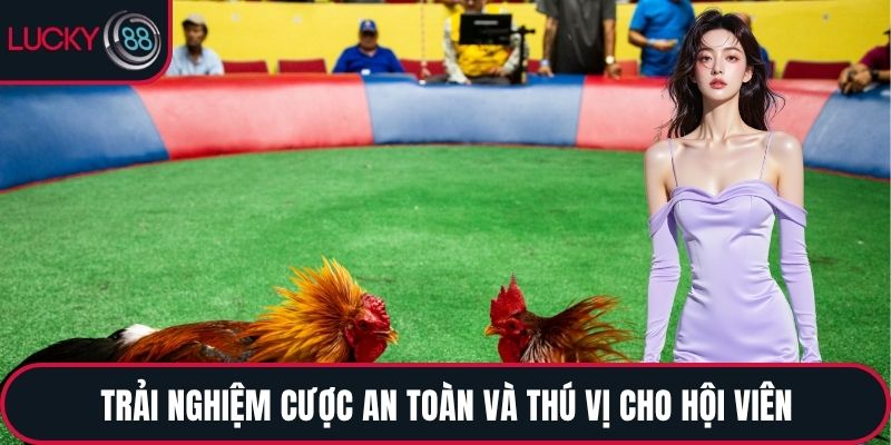 Trải nghiệm cược an toàn và thú vị cho hội viên